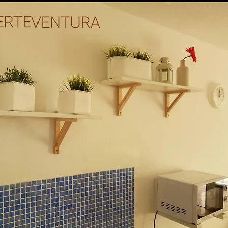 Dunes Project Corralejo